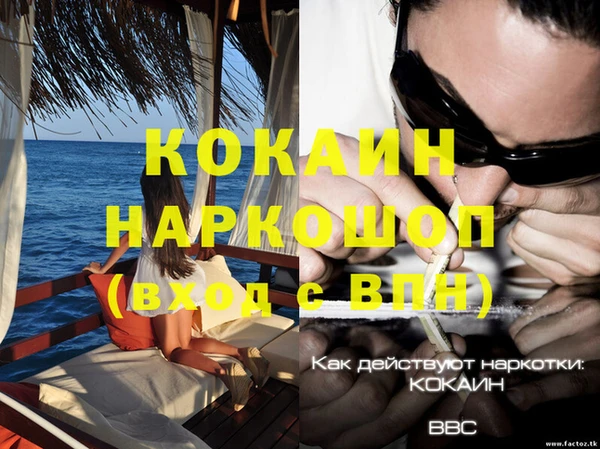 дживик Вяземский