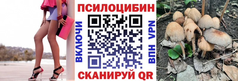 Галлюциногенные грибы Psilocybe  Купить закладки  Макаров 